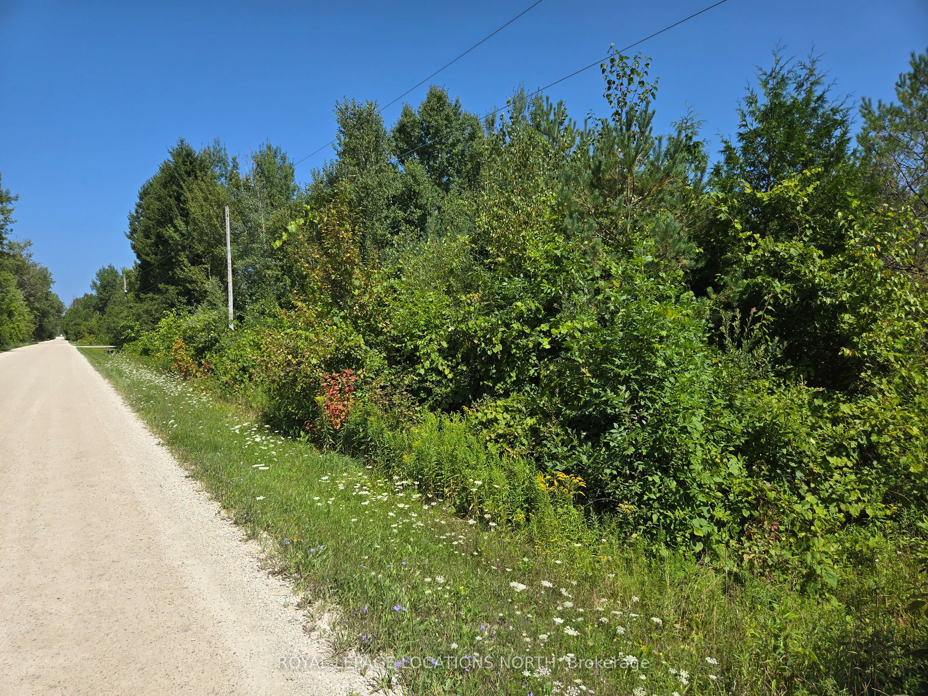Investment Listing Photo