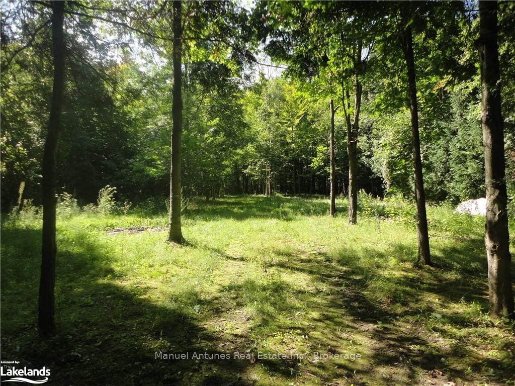 Investment Listing Photo