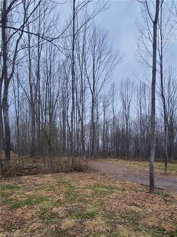Investment Listing Photo