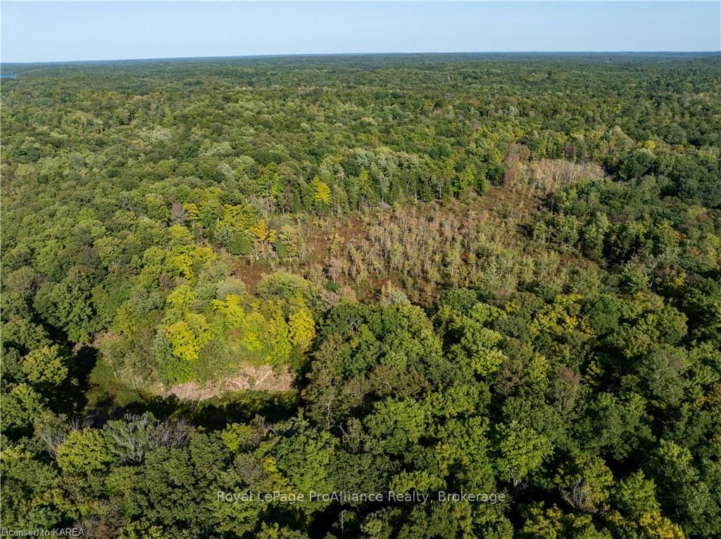 Investment Listing Photo